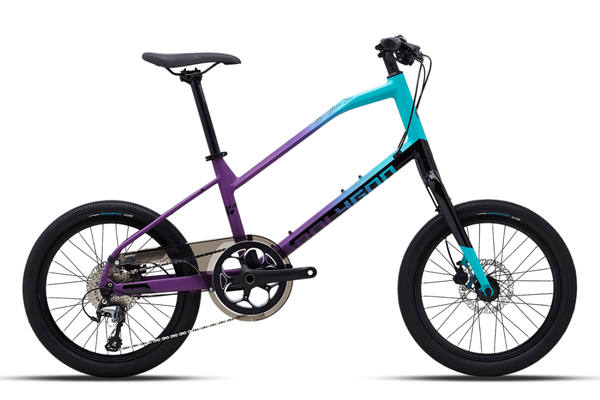 Polygon Hybrid Bikes | Zeta 2 - Cycling Boutique