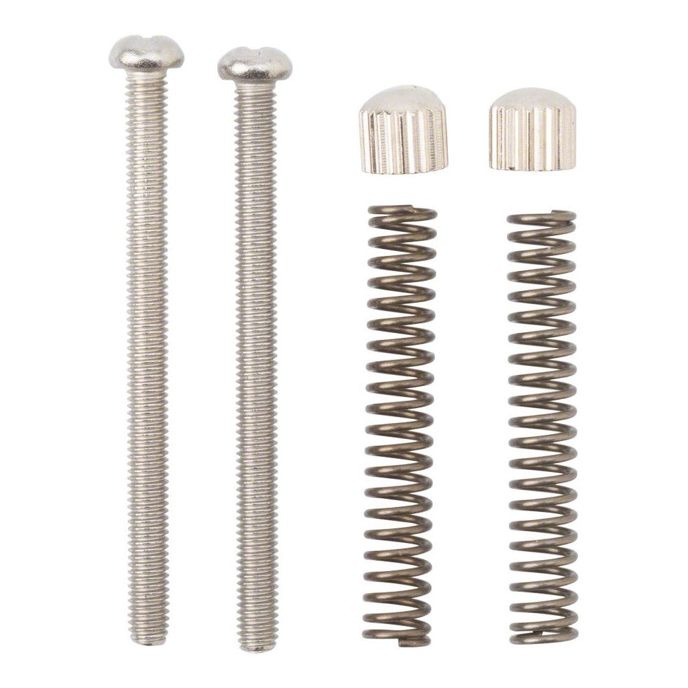 Surly Crosscheck Frame Replacement Dropout Screws, Pair - Cycling Boutique