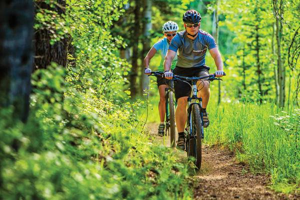 Cannondale MTB Framesets | Trail 7 26