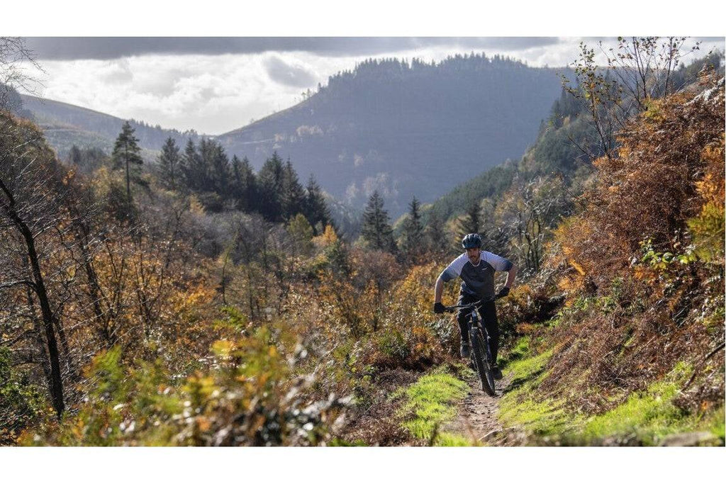 Marin Bikes Mountain Bikes | Rift Zone 2 29 | Cycling Boutique