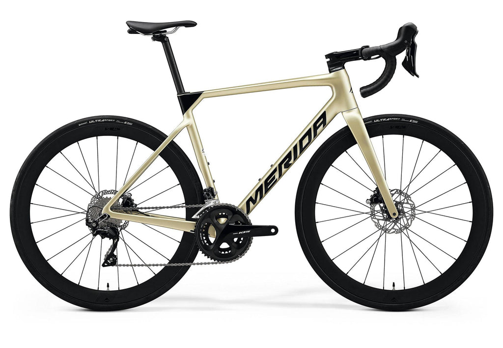 Merida Road Race Bike Scultura Limited Cycling Boutique