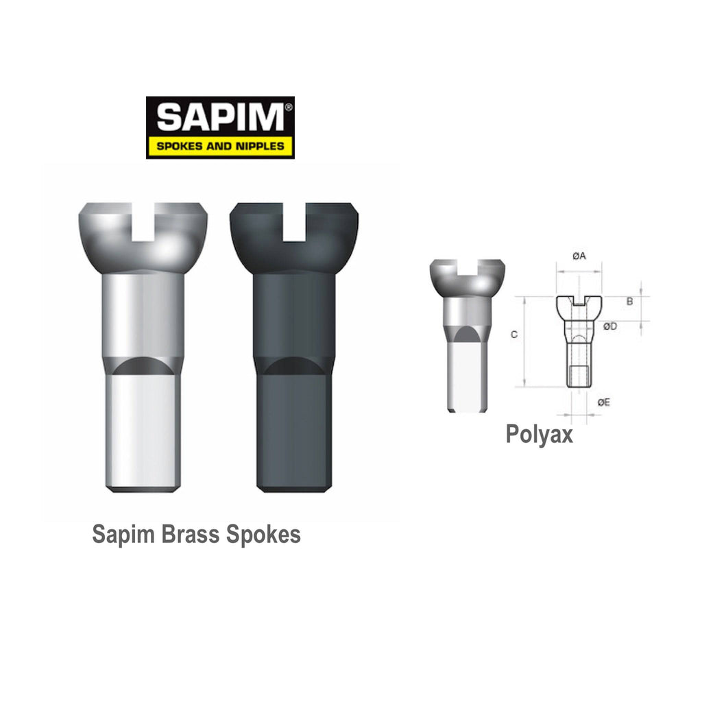 Sapim Spoke Nipples | Brass - Polyax - Cycling Boutique