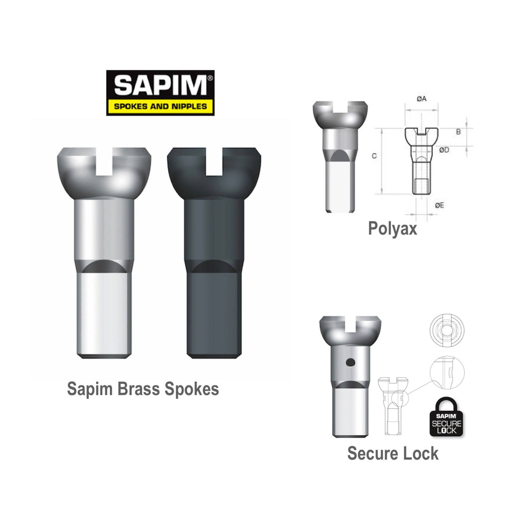 Sapim Spoke Nipples | Brass - Polyax, Secure Lock - Cycling Boutique